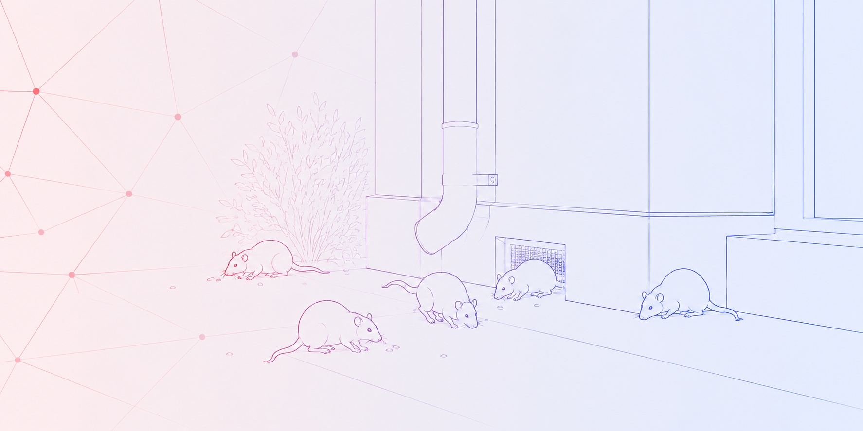 Ratten