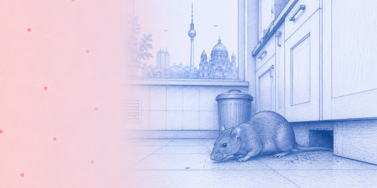 Ratten im Haus